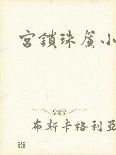 宫锁珠帘小说