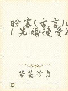 盼寡(古言1v1 先婚后爱)
