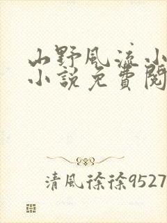 山野风流小神医小说免费阅读封面
