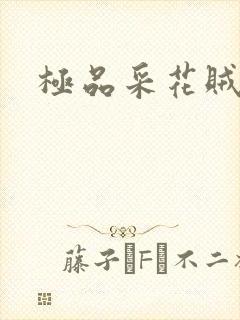 极品采花贼封面