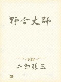 野合大师封面
