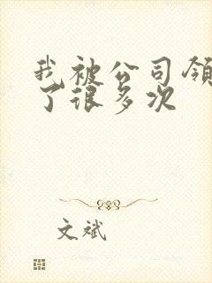 我被公司领导C了很多次