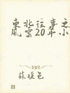 东北往事之黑道风云20年小说