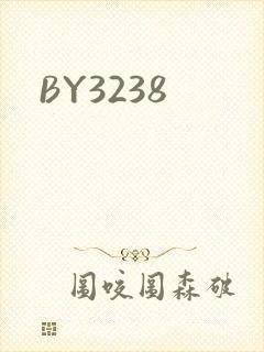 BY3238