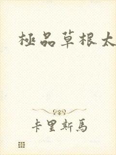 极品草根太子