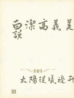 白洁高义美红小说