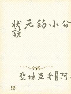 状元的小公主小说
