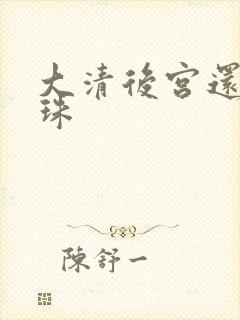 大清后宫还君明珠封面