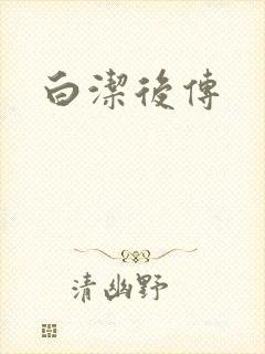 白洁后传封面