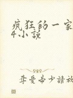 疯狂的一家ps4小说封面