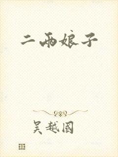 二两娘子封面