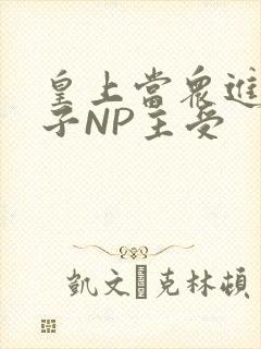 皇上当众进入太子NP主受封面