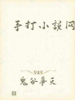 手打小说网