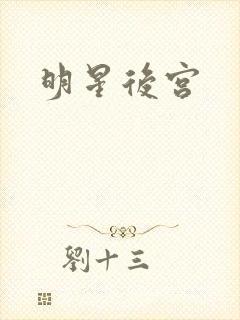 明星后宫