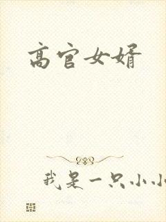 高官女婿