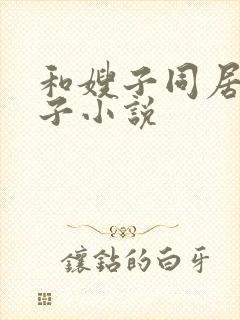 和嫂子同居的日子小说封面