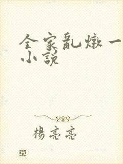 全家乱炖一锅烩小说