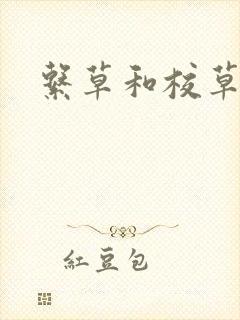 系草和校草