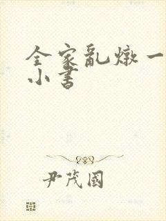 全家乱炖一锅烩小书