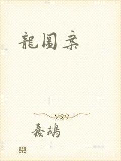 龙图案