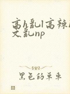 高h乱l高辣h文乱np封面
