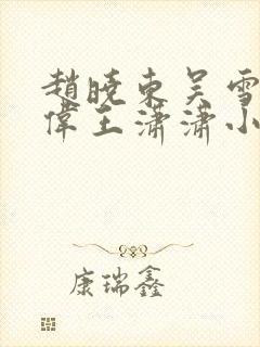 赵晓东吴雪晴郑伟王潇潇小说