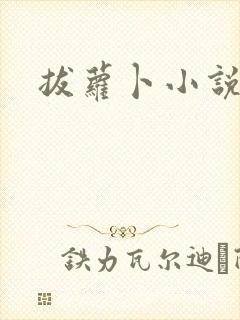 拔萝卜小说