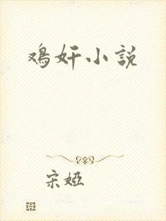 鸡奸小说封面
