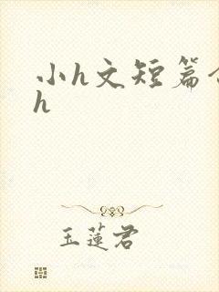 小h文短篇合集h封面