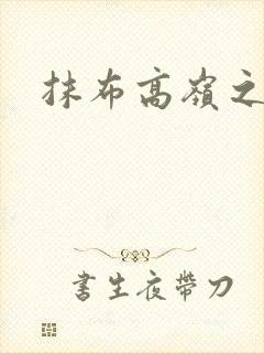 抹布高岭之花封面
