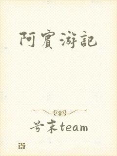 阿宾游记封面