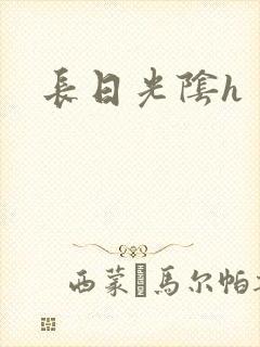 长日光阴h封面