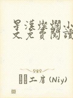 星汉灿烂小说全文免费阅读封面