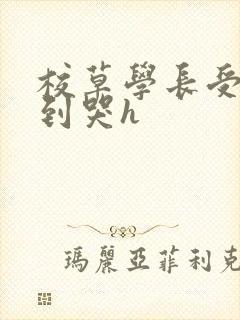 校草学长受被做到哭h