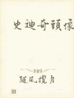 史迪奇头像