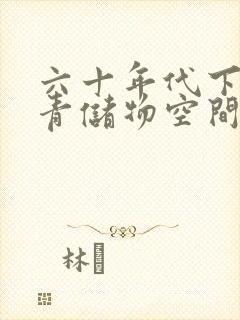 六十年代下乡知青储物空间