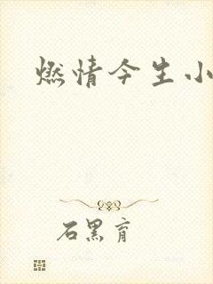 燃情今生小说