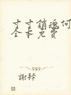 寸寸销魂何生祥全本免费