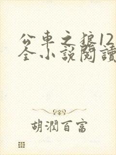 公车之狼12集全小说阅读