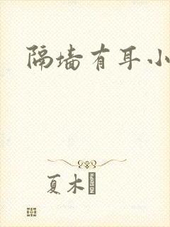 隔墙有耳小说封面