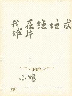 我在绝地求生捡碎片封面