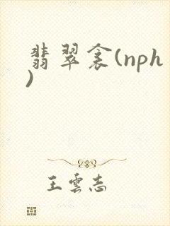 翡翠衾(nph)