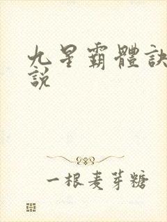 九星霸体诀 小说