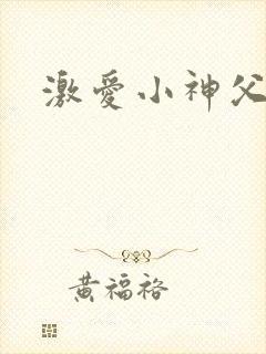 激爱小神父封面