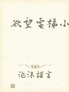 欲望电梯小说