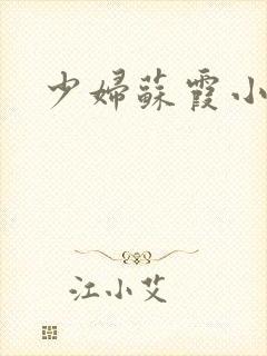 少妇苏霞小说