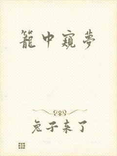 笼中窥梦