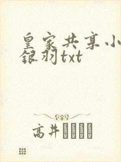皇家共享小公主银羽txt封面