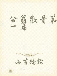 公翁欢爱第三十一篇封面