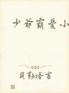 少爷霸爱小丫头